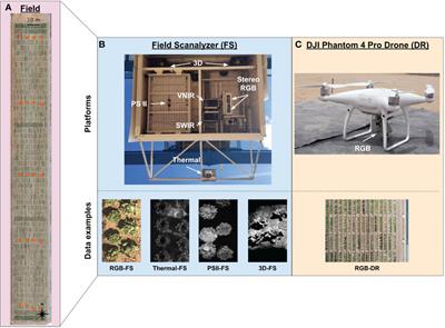 PhytoOracle: Scalable, modular phenomics data processing pipelines